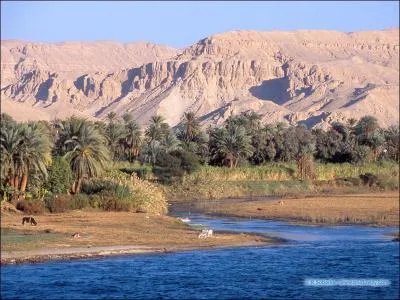 Le plus long fleuve du monde est le Nil. Il mesure 6 671 km de long. Mais dans quel pays le trouve-t-on ?