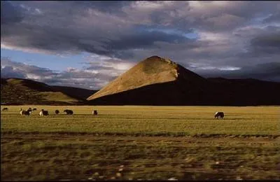 Le plateau le plus haut du monde est situ  une altitude moyenne de 4 200 mtres. Comment s'appelle-t-il ?