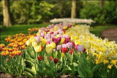 Quelle est la superficie du jardin de Keukenhof ?