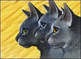 Que dcide Lune Bleue lorsqu'elle reoit une vision du Clan des toiles (Griffe d'pine couvert de sang) ?