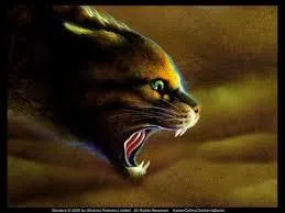 Que se passe-t-il lors d'une patrouille avec Griffe d'pine et Nuage de Tigre ?