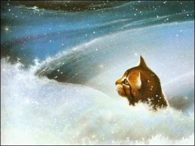 Comment Pelage de Neige meurt-elle ?