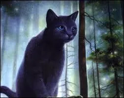 Pourquoi Lune Bleue doit-elle devenir lieutenant (2 rponses) ?