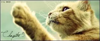 Comment toile de Soleil meurt-il ?