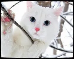 Qui sont ses pre et soeur ?