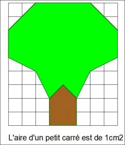 Quelle est l'aire de l'arbre avec le tronc ?