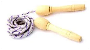 Quel est l'animal qui saute le plus haut ?