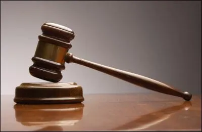 Qu'est-ce qu'un Akita ?