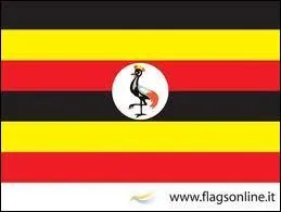 Quel est ce drapeau ?