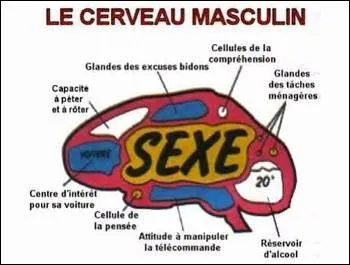 Avant de me faire dfinitivement charper par les femmes, je vais tenter de rattraper le coup. Des chercheuses ont dcouvert pourquoi Mose avait err 40 ans dans la dsert !
