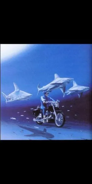 Un bleu est un dbutant :