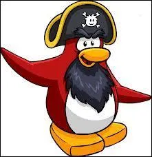 Quel est ce personnage ?