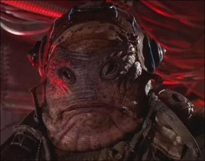 Je crache du feu dans les territoires libres et je suis...