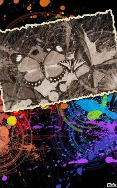 Comment dit-on mes amies ?