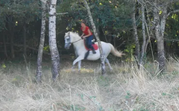Quiz Galop 1