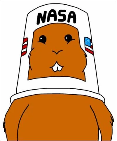 Pour concurrencer la fuse de Ned, Homer construit la sienne avec comme pilote un hamster. Comment s'appelle cette courageuse bte ?