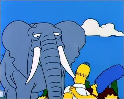 Grce  la station de radio KBBL, Bart obtient un lphant d'Afrique. Cet lphant a pour nom :