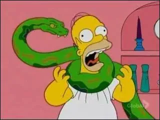 Bart achte un python dans une animalerie qui servira  la fin de lance d'incendie. Sous quel nom le connat-on ?