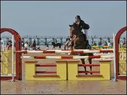 Parmi ces races, laquelle se distingue en sauts d' obstacles ?