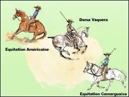 Les races allemandes (hanovrien, holstein, trakehner) excellent dans quelle discipline ?