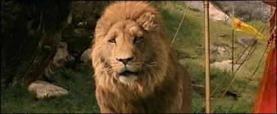 Quel le nom du lion , roi de narnia ?