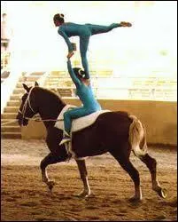 Faire de la gymnastique sur un cheval, c'est faire...