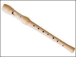 Quel est cet instrument de musique ?