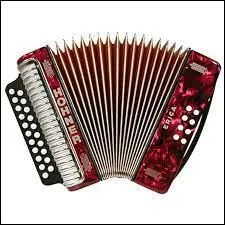 Quel est cet instrument de musique ?