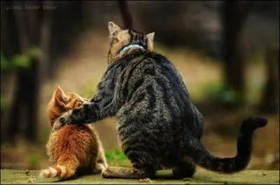 Dispute qui peut tourner au vinaigre !