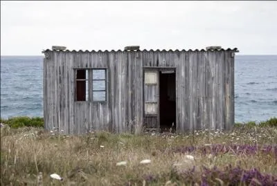 Poisson de mer  la chair trs estime !