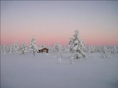 Echassier des marais !
