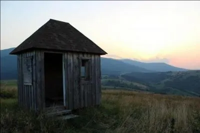 Plante  fleurs roses, que l'on trouve souvent dans les dcombres !
