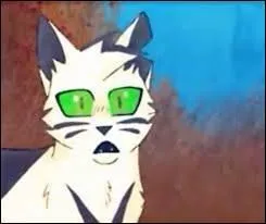 Ce guerrier a perdu un petit bout d'oreille suite  un combat avec un chat au pelage roux :