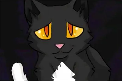 Ancien apprenti de clan, c'est maintenant un solitaire :