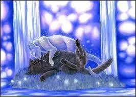 Le chat du haut est mort dans les montagnes :