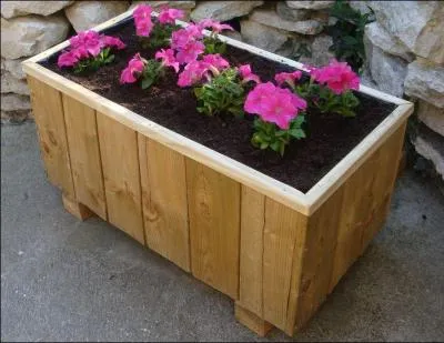 Cette mme anne, elles ont pu passer un examen, jusque-l rserv aux garons. Lequel ?