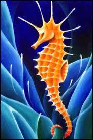 L'hippocampe est appelé  Cheval de mer .