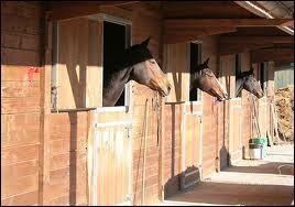 La litière du cheval peut être composée de copeaux de bois.