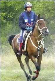 En comptition d'endurance, la distance la plus longue est 200 Km.