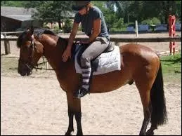 Dans le dplacement des hanches, la jambe qui recule s'appelle la jambe isole.