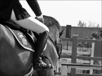 L'équitation est l'un des trois sports préférés des Français.