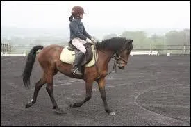 La demi-volte renverse est le contraire de la demi-volte.