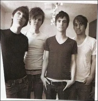 Panic at the disco chante 'When the day met the night' ?