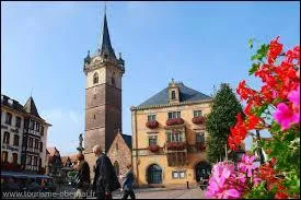 Je vais vous faire dcouvrir la ville d'Obernai (Alsace), situe dans le dpartement n...