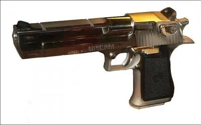 Quel est le nom de cet arme ?