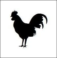 Quel est cet oiseau ?