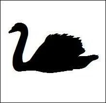 Quel est cet oiseau ?