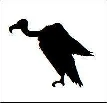 Quel est cet oiseau ?