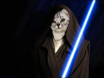 Quel mot n'est pas le contraire de  chaleur  ?