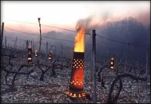 Dans certaines rgions viticoles, cet appareil est utilis pour :